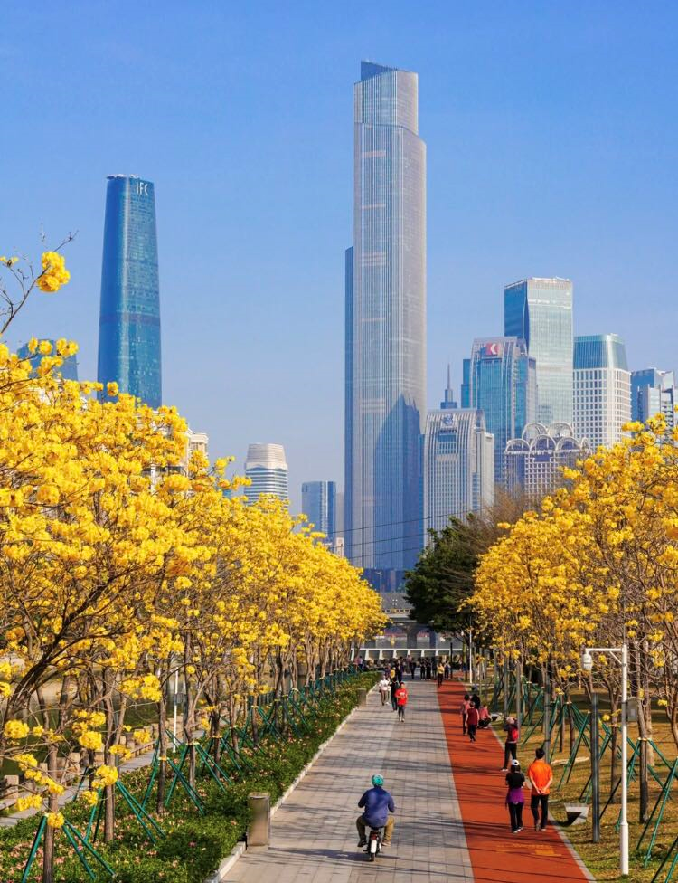 粤城旧事第221期广州囡囡的58张神奇美图红到发紫一边叶落一边花吹雪