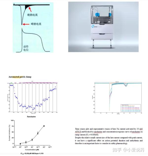 ion channel fastscreeningion channel screeningIon Channel Services 知乎