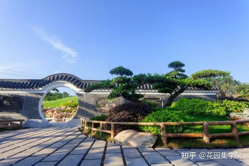 日式庭院该配什么植物？怎么配？看这里~ - 知乎