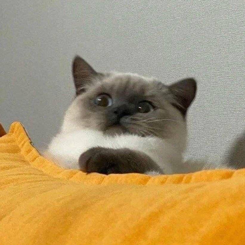 后来呢