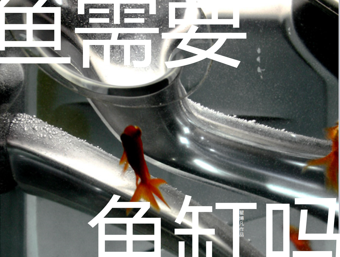 要做一个英语的PPT,什么主题比较有意思?