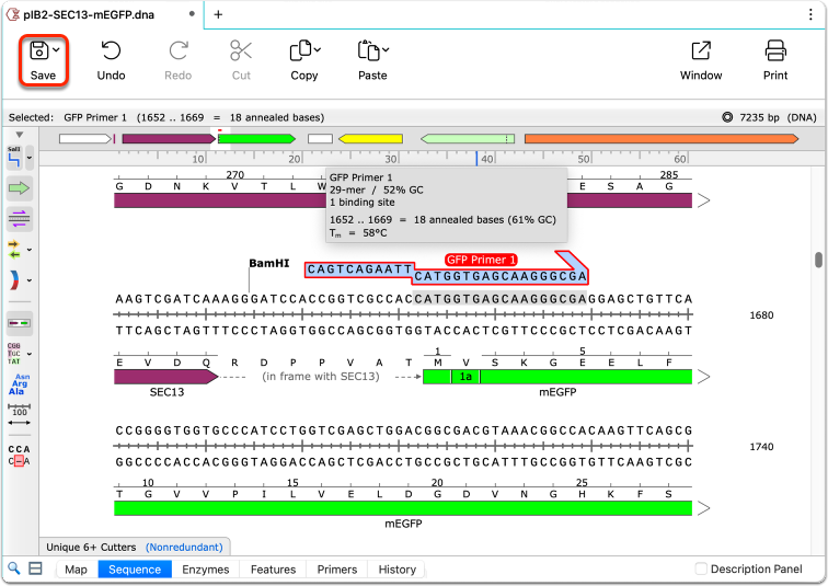 创建引物(SnapGene 7.0及更新版本) - 知乎