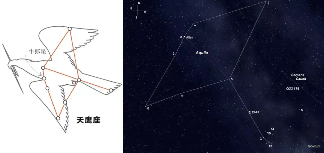 夏季大三角是什么,怎么观测? - 知乎