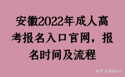 安徽省会计从业资格考试网上报名系统_安徽省资格证书考试网_安徽从业资格证考试