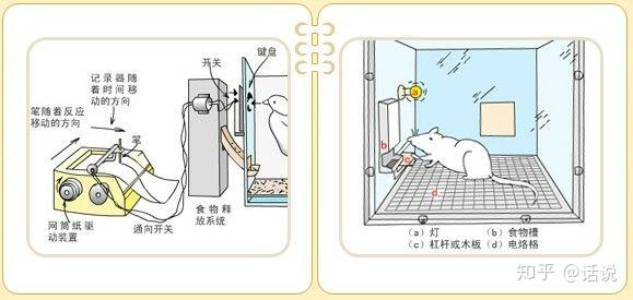 箱中人之一请君入瓮
