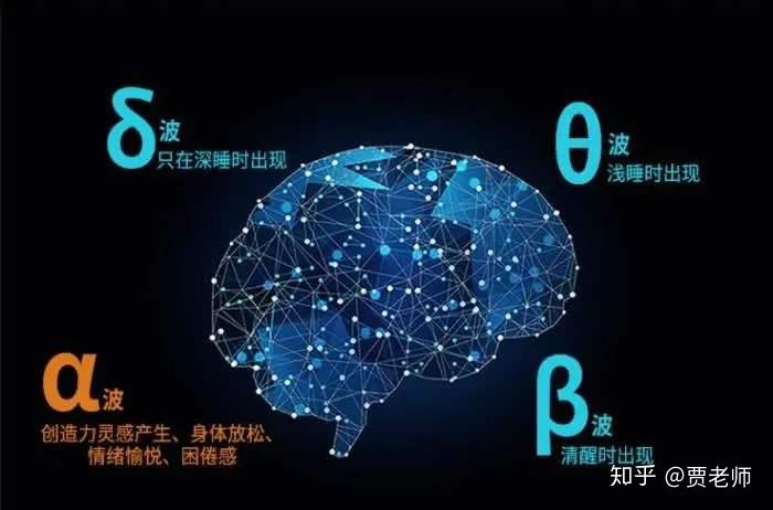 讓大腦擁抱睡眠310睡眠週期中的腦電活動