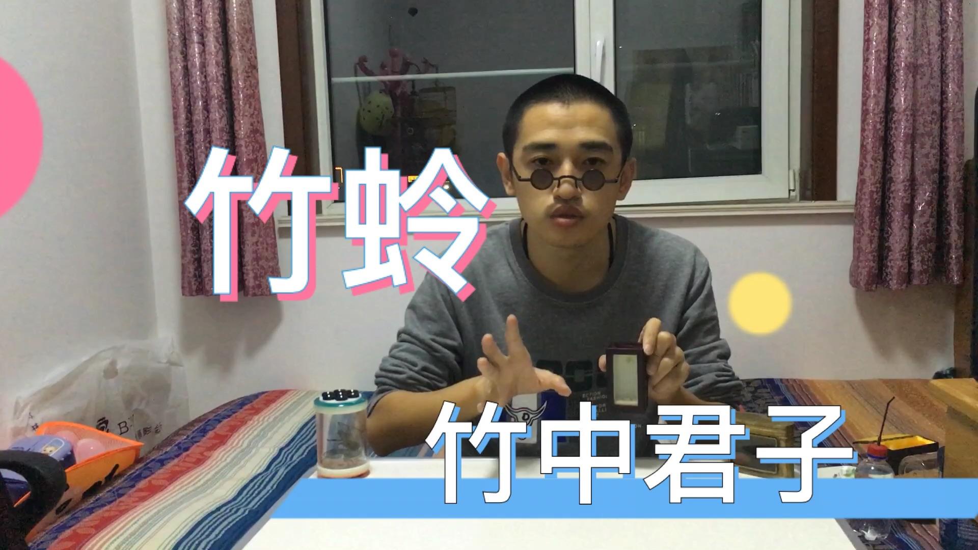 曾经有一年我捉到了几只母竹蛉,有幸见到了竹蛉的繁殖,甜蜜诱惑