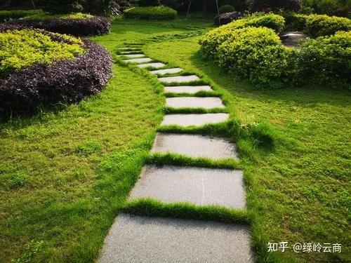 园林绿化施工中苗木的管理技术,赶紧收藏~ - 知乎