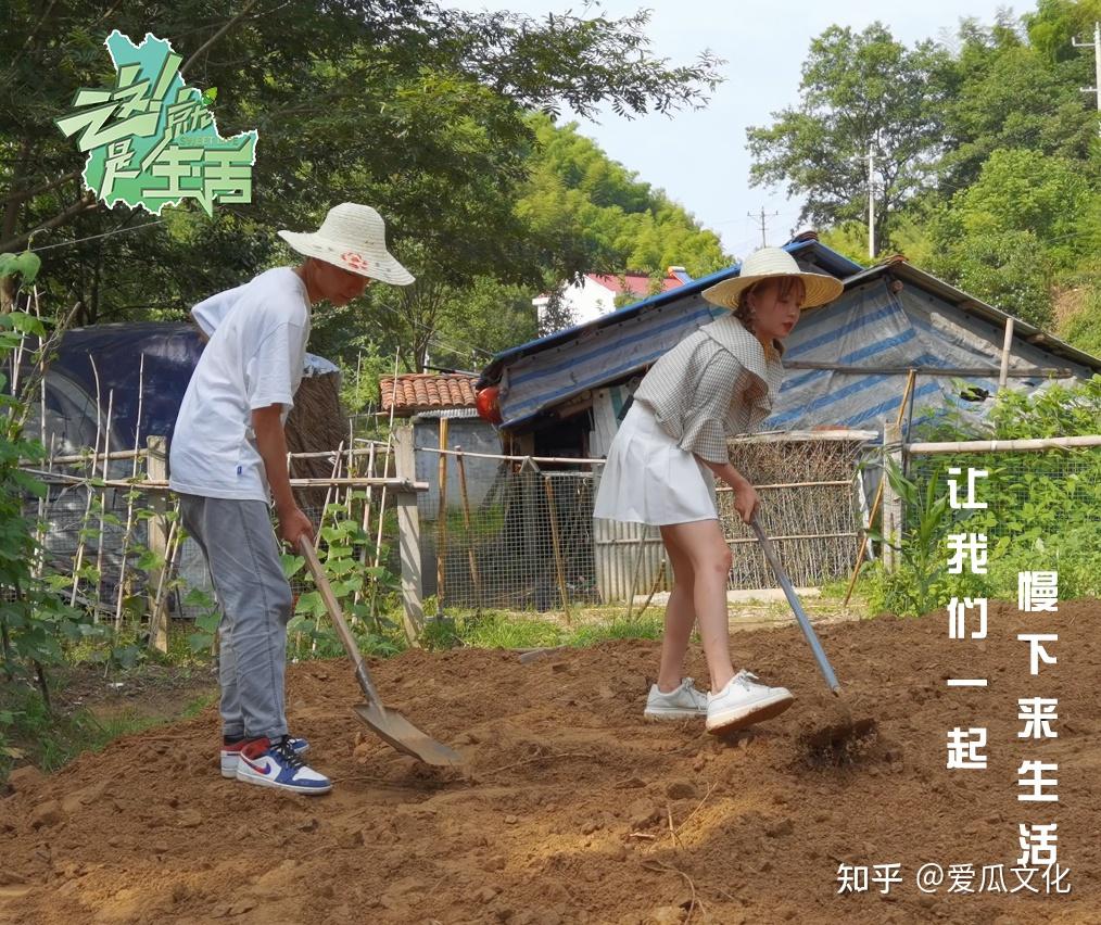 乡村综艺节目《这就是生活》第一季