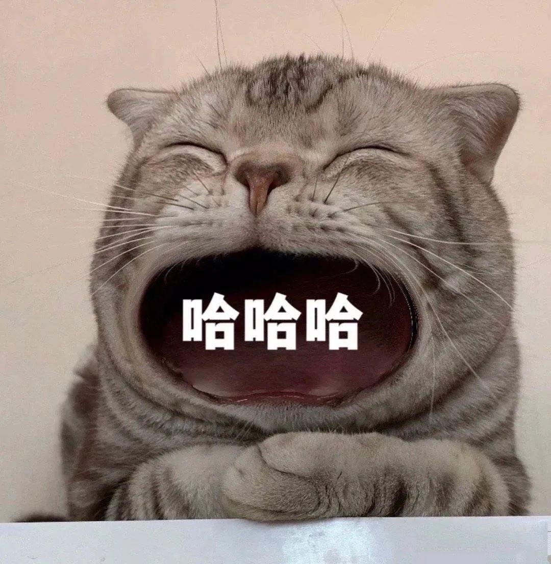 你有什么常用又有趣的表情包?(三十七)