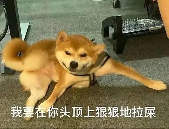 120张万能的表情包推荐-万能表情图片大全