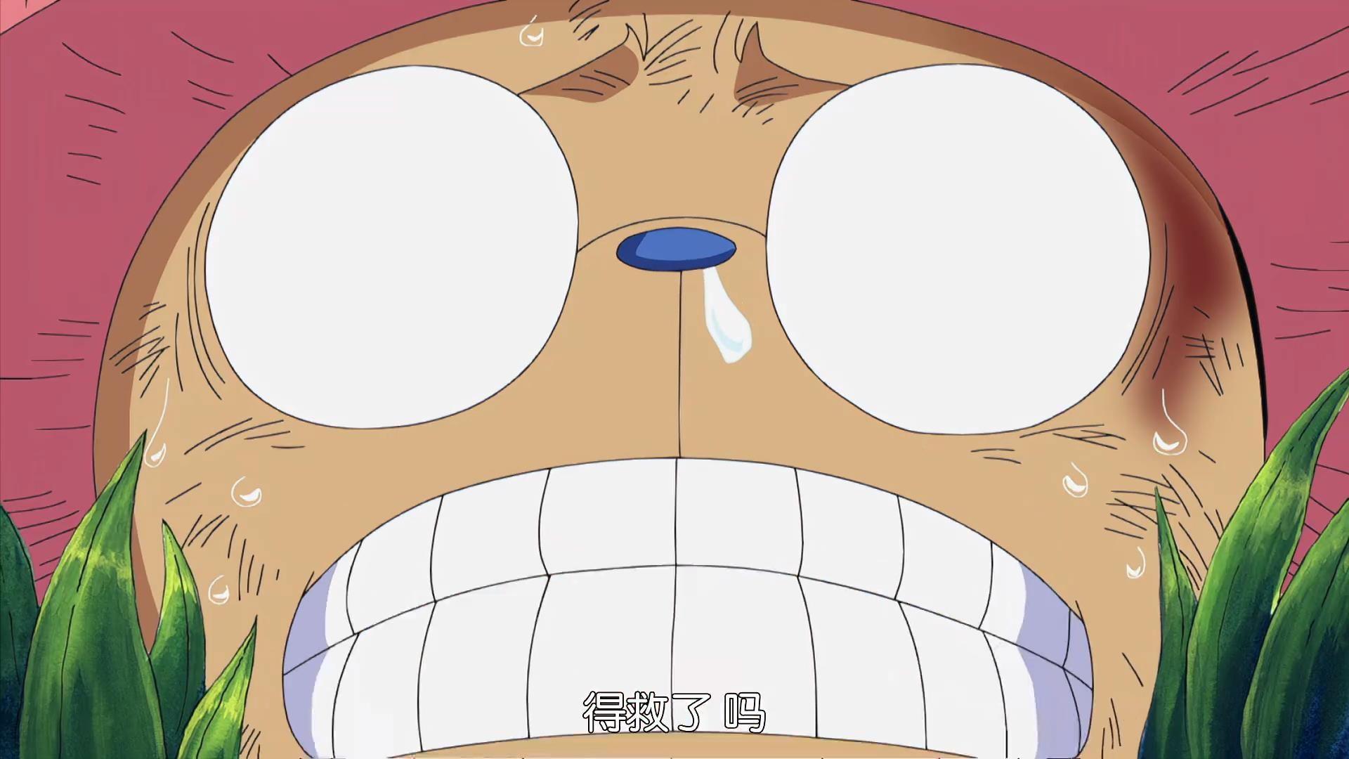 更新更新是不是见到好吃的你饭团 索隆搞啥子嘛すごいです宝的表情包