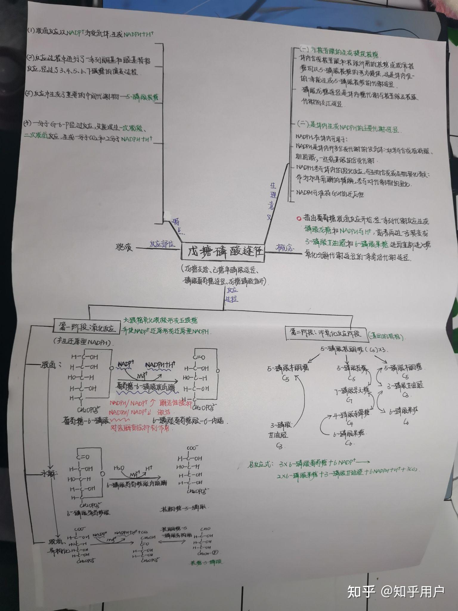 糖类的思维导图图片