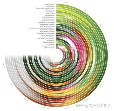 设计留学 | 植物分析与植物表现,都有哪些常见的形式? - 知乎