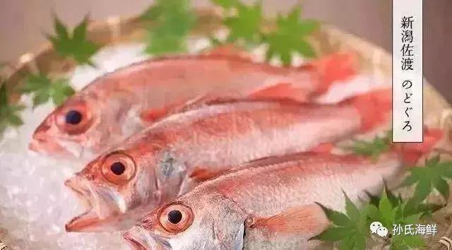 孙氏海鲜 海鲜食用指南 日料刺身都有哪些鱼 下 知乎 孙氏海鲜 海鲜食用指南 日料刺身都有哪些鱼 下 知乎