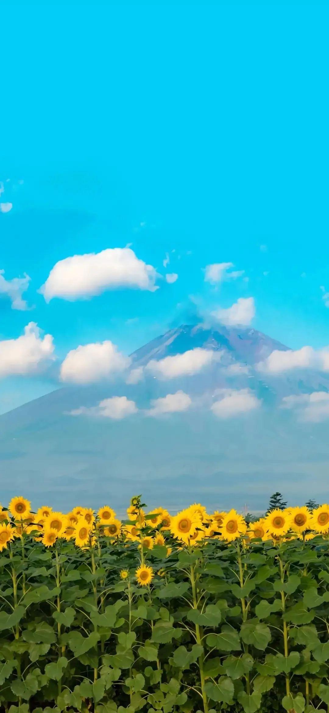 富士山壁纸高清 手机图片