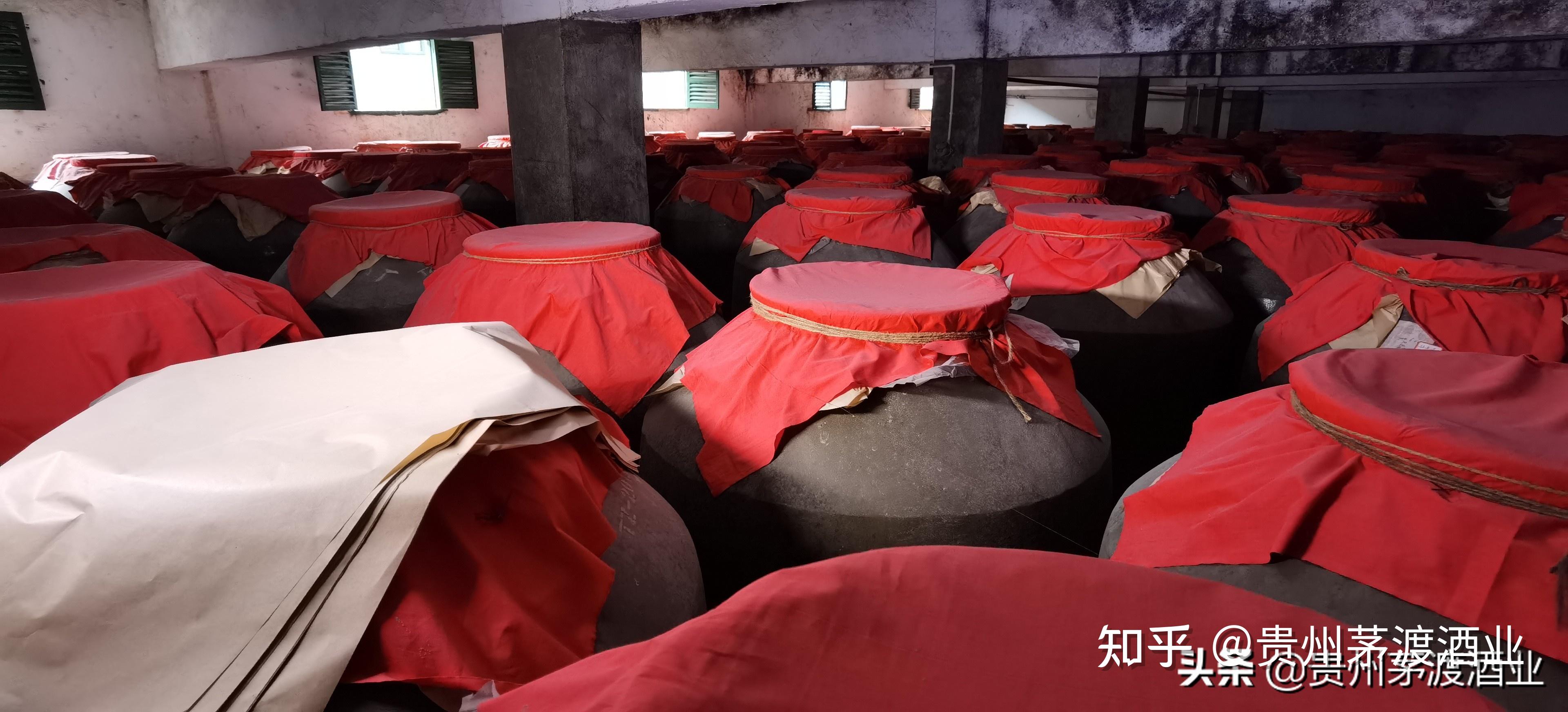 一位30年老藏友的经验分享这才是最值得学习的正确存酒方式