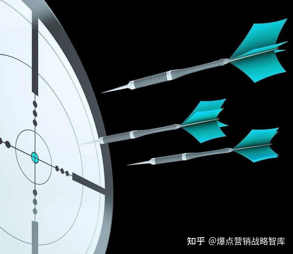 聚焦转会市场热点追踪与未来星探报告