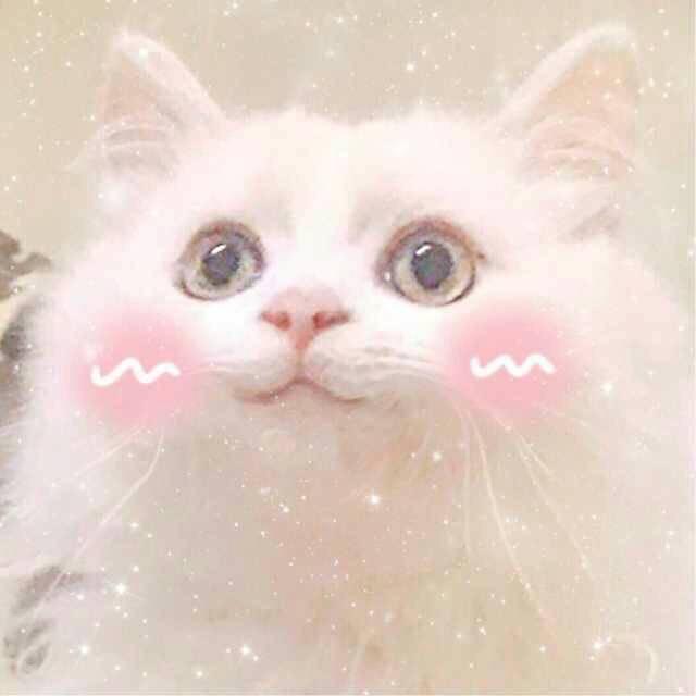 喵姐姐还叫什么名字 v2-0de99eb7c7f3495a8ea4a545cceb45bf_r.jpg