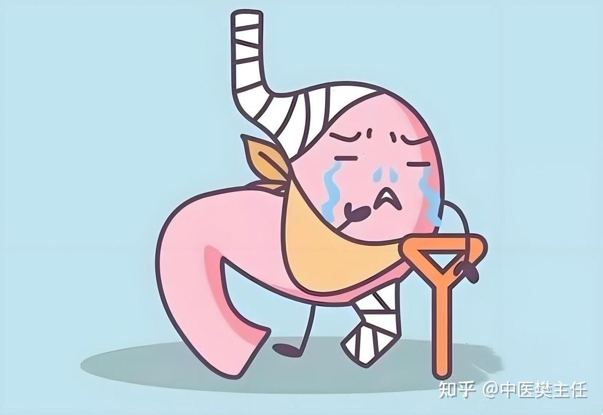 调理脾胃,健脾丸说第二,就没别的称第一!连消带补,还不伤正气 - 知乎