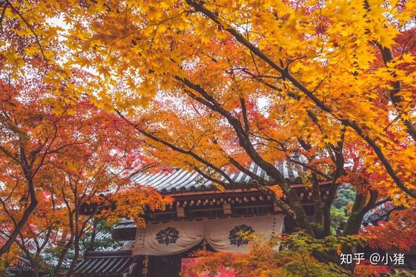 11月旅行地推荐 这些最适合秋冬出发的地方 绝对不能错过 知乎