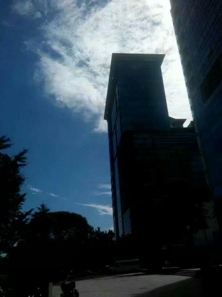 2017山东理科考生没过本科线,不想上专科,复读