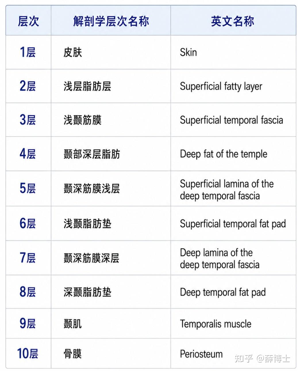 颞部填充到底该打在哪一层?从10层解剖讲清楚 - 知乎