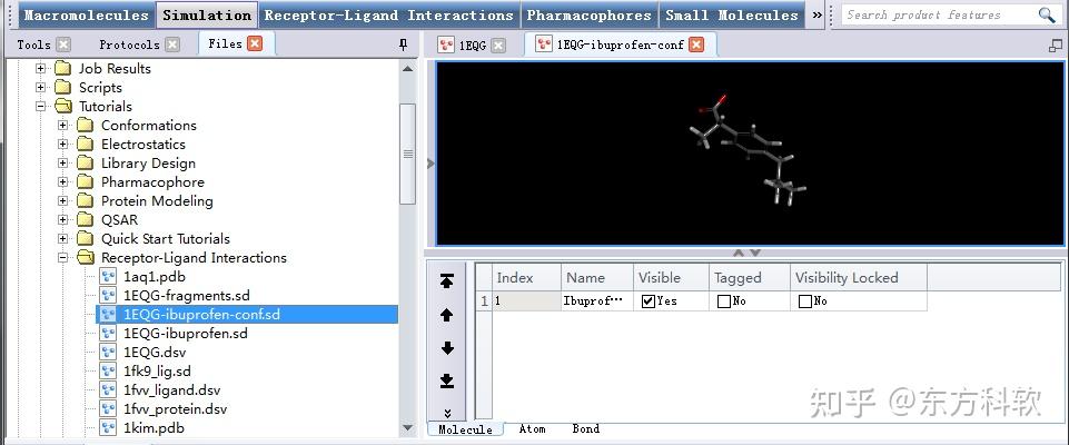 Discovery Studio官方教程（Help-Tutorials） 使用CDOCKER进行半柔性分子对接 - 知乎