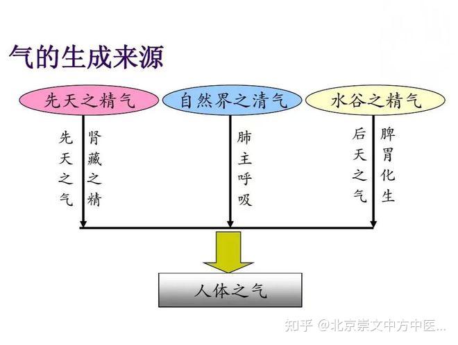 【中医养生篇】气为何物?气不足如何补气?一文带你读懂! - 知乎