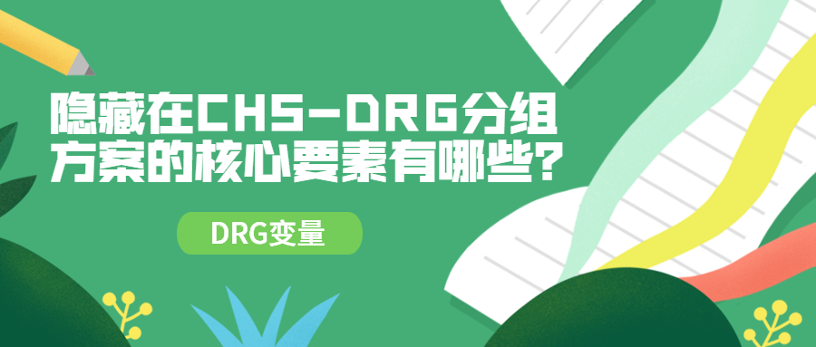 隱藏在chsdrg分組方案的核心要素有哪些