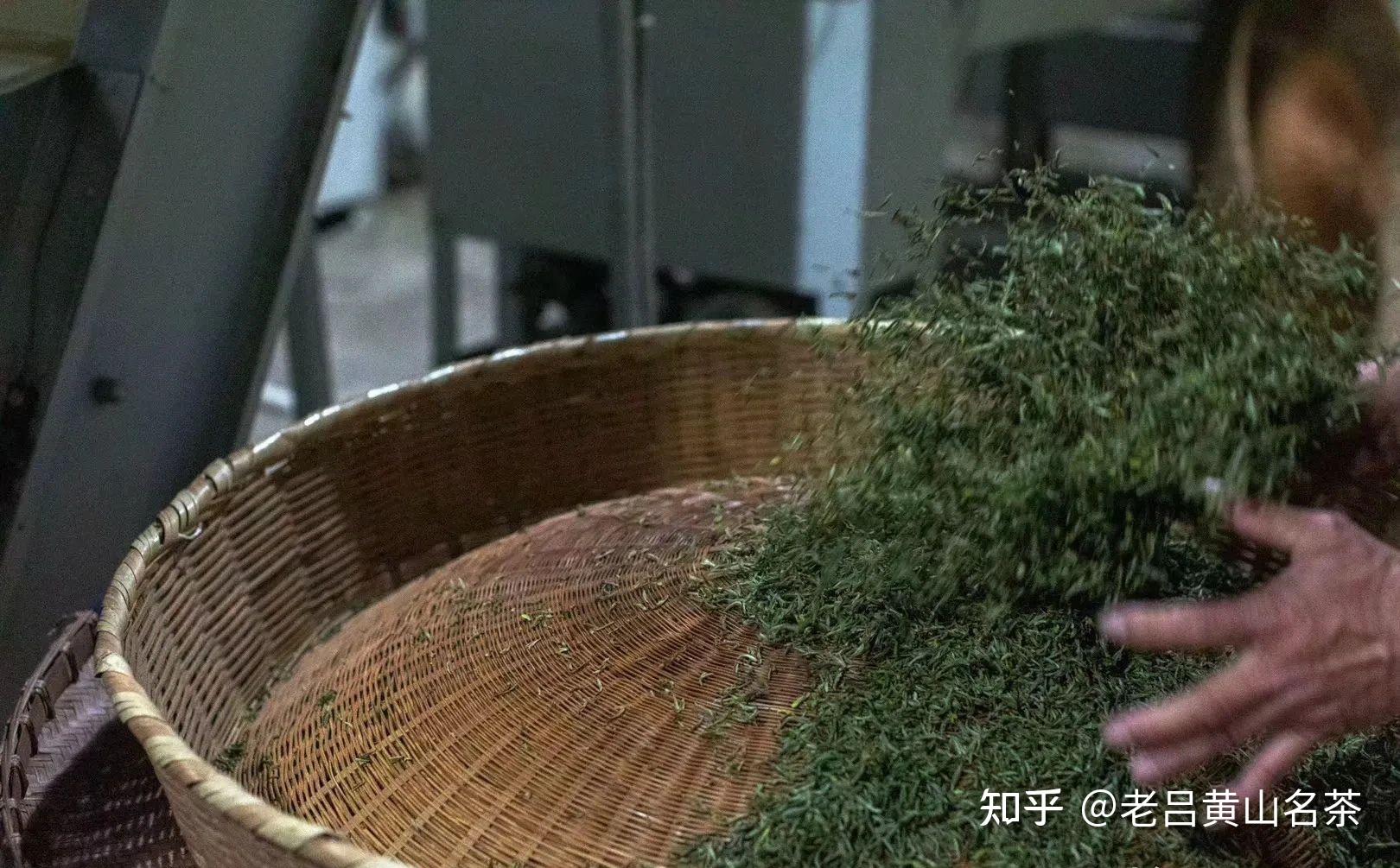 手工茶和機制茶