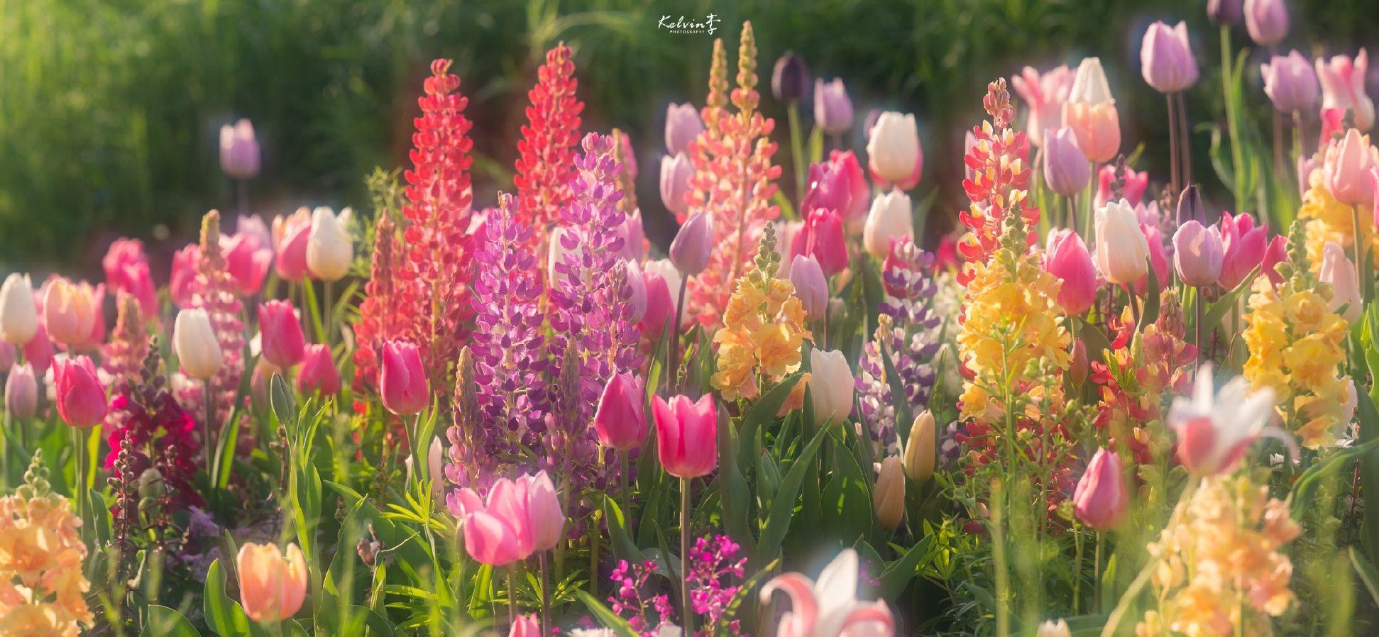 充满夏天气息的好听网名