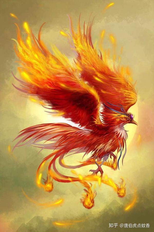 中国神妖大全之《金乌》：在古代金乌被看作是驾驭日车的太阳神鸟 知乎
