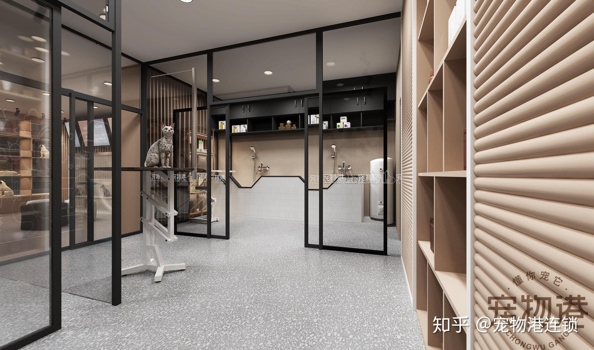 宠物店装修效果图