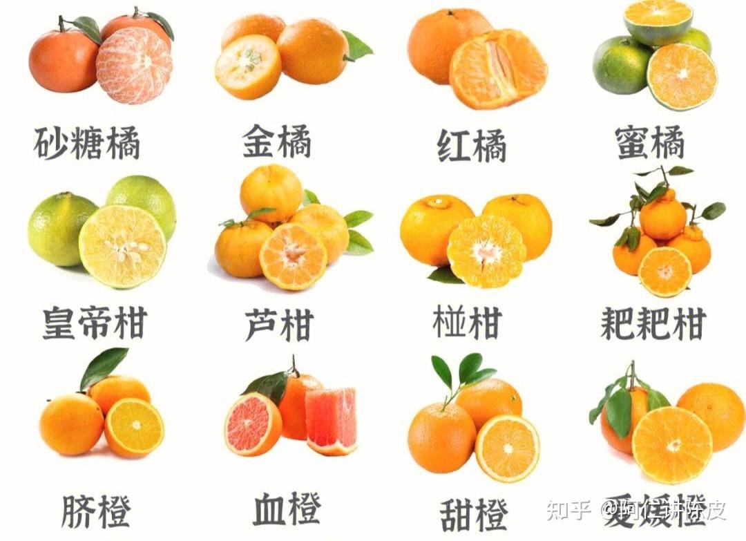 吃完的桔子把皮晒干三年算陈皮?那什么才算? - 知乎
