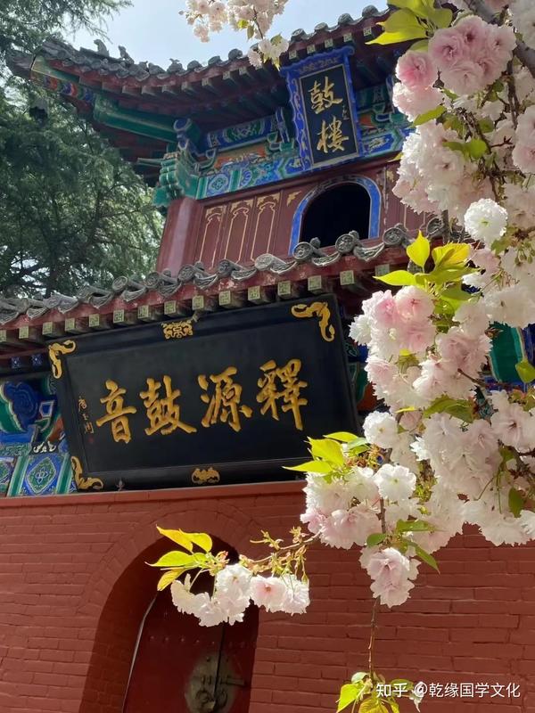 一些人身上的阴性众生 知乎