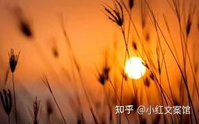 净水爆款短句(爆款抖音文案短句)