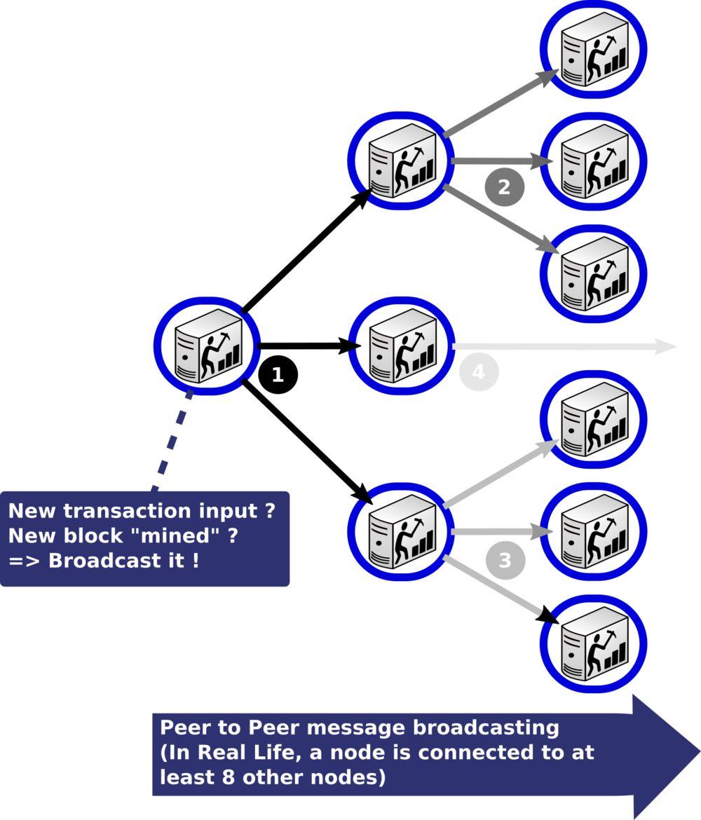 区块链项目中的隐藏宝石——Holochain项目评测- 知乎