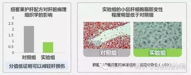 有效抑制肝细胞凋亡