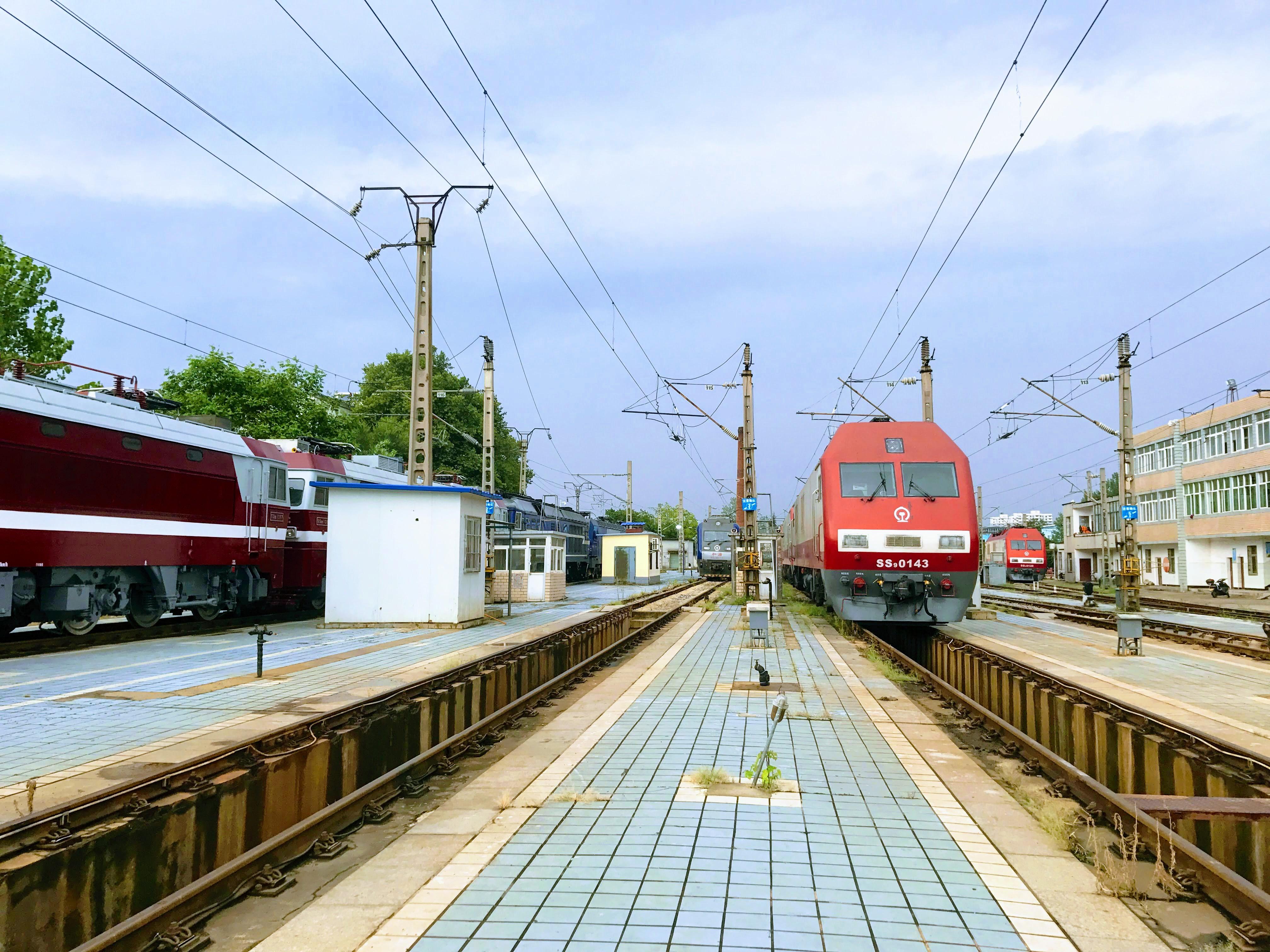 看看大白猫武局南段