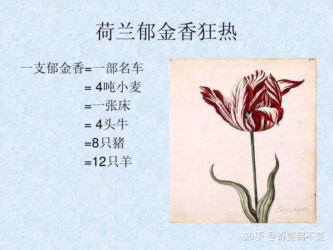 比特币就是郁金香泡沫？ - 知乎