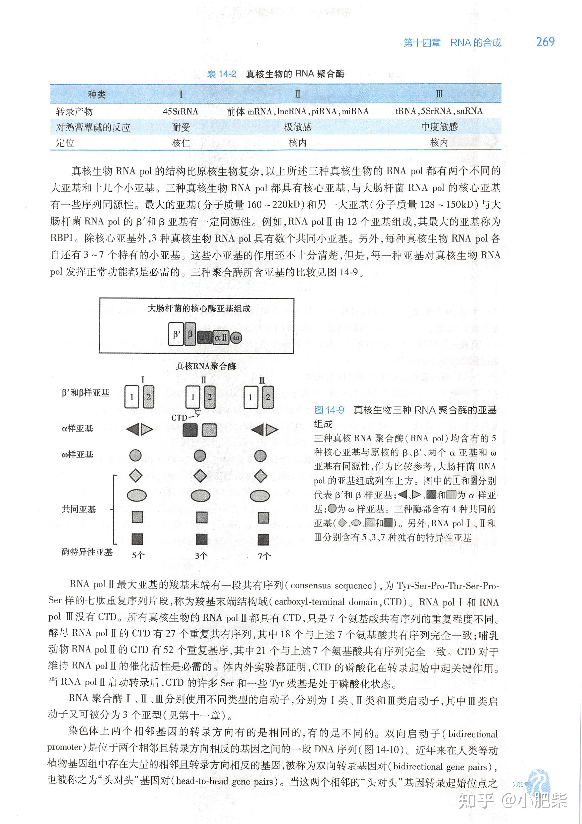 without怎么读图片