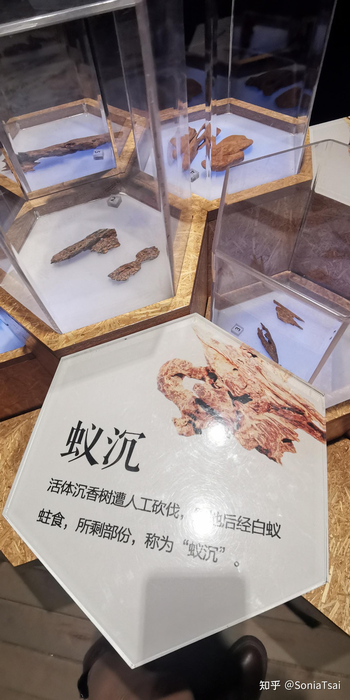 沉香及莞香最详细资料（东莞中国沉香文化博物馆及牙香街官方内容整理+
