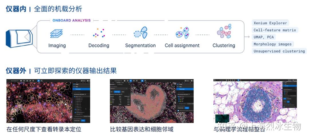 听说原位空间组学技术很火?【Xenium 专题】 - 知乎