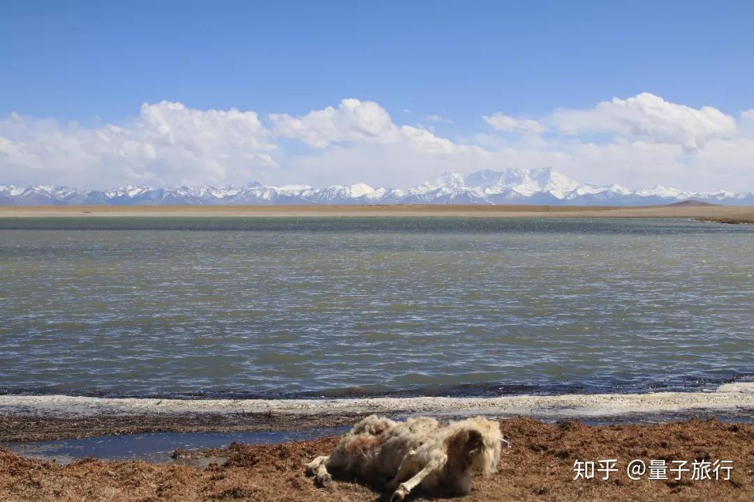 在天堂之门我感受到了令人窒息的气氛