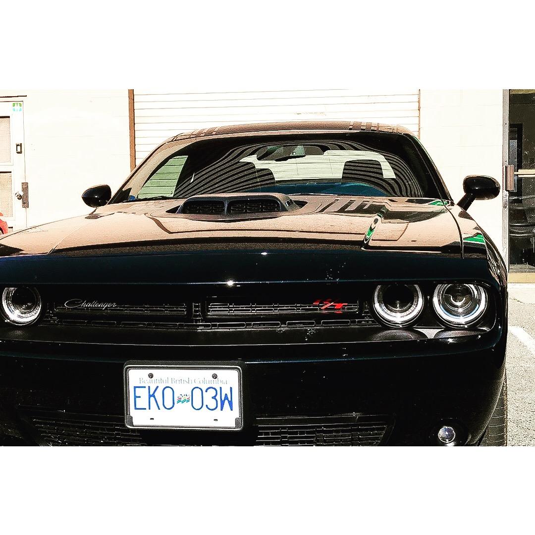 高清无码讲述学渣逆袭移民加拿大奋斗全程