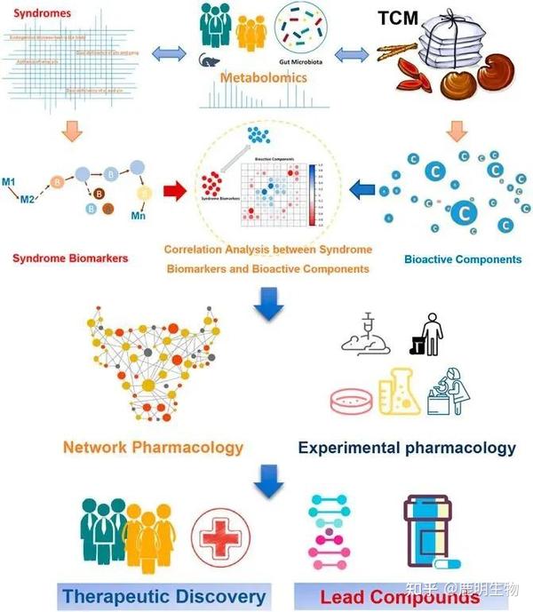 代谢组学+蛋白组学，四篇SCI经典解读带您了解中医药发文试验设计 - 知乎