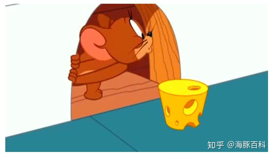 杰瑞:我太南了,好不容易躲过了汤姆,又来了个米亚