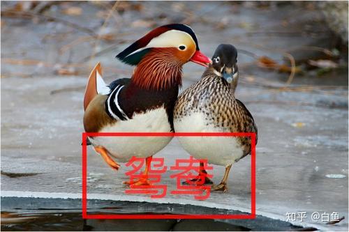 不一样的出轨 - 知乎