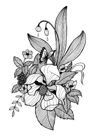 美术蛙-黑白线稿白描插画,细节控福音,植物插画